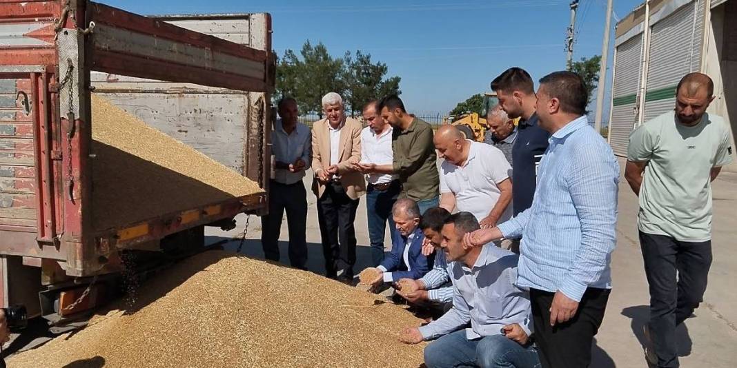 Geçen sene 40, bu sene 6 ton verim elde edildi, durum fiyata yansıdı! Çitçinin yüzü asıldı: Kilosu 17 liradan satıldı 3
